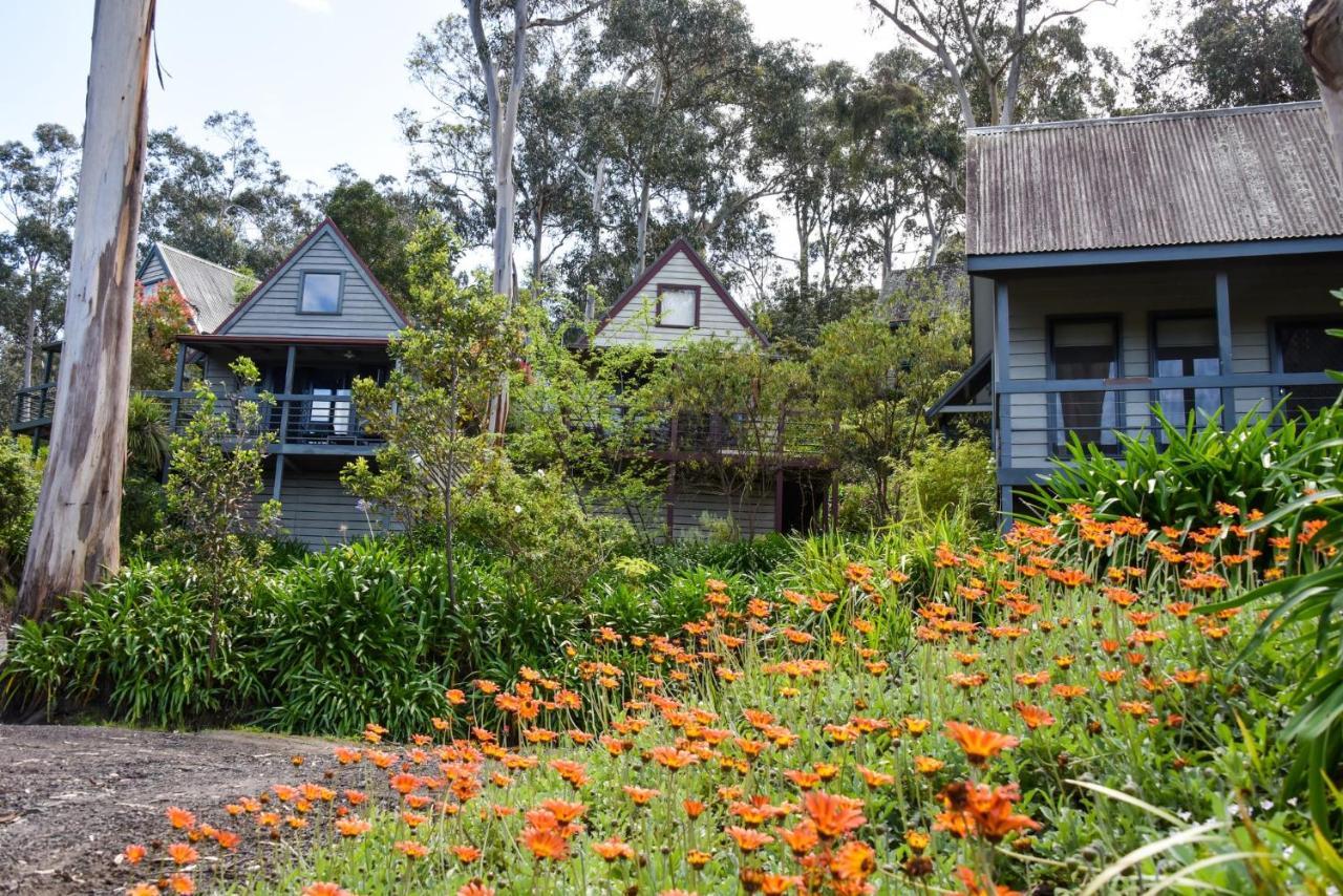 Great Ocean Road Cottages Lorne Buitenkant foto