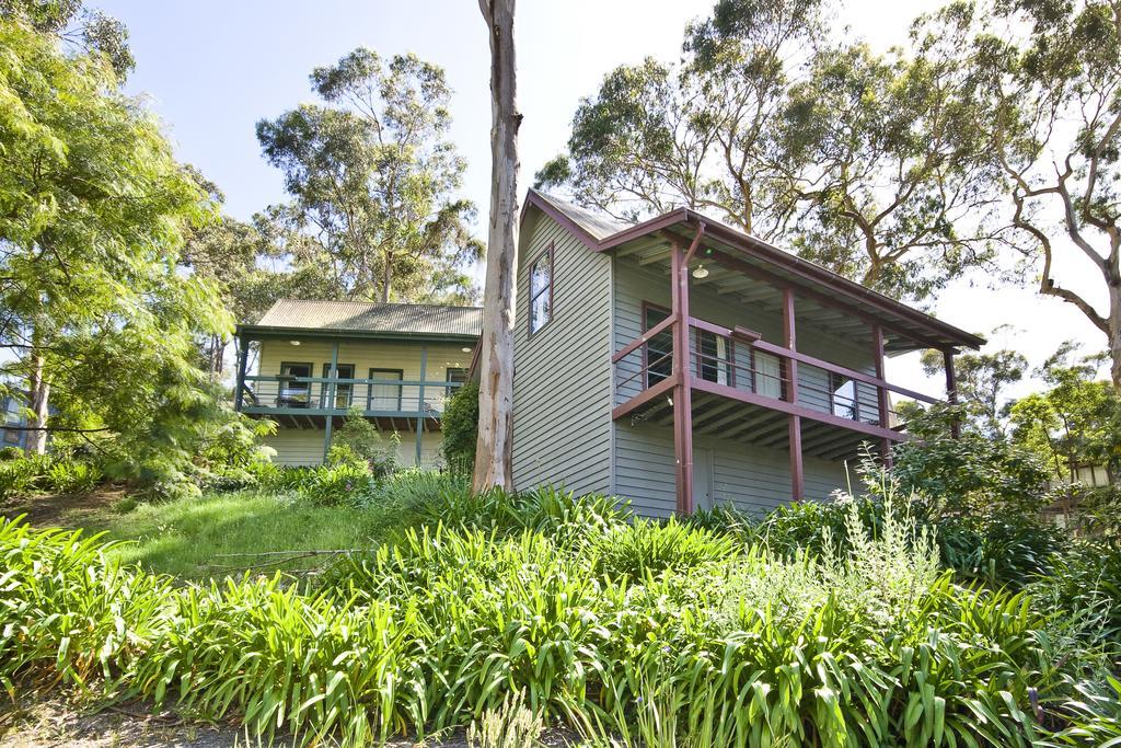 Great Ocean Road Cottages Lorne Buitenkant foto